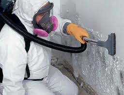 Mold Removal for HVAC Installations in Ephrata, PA